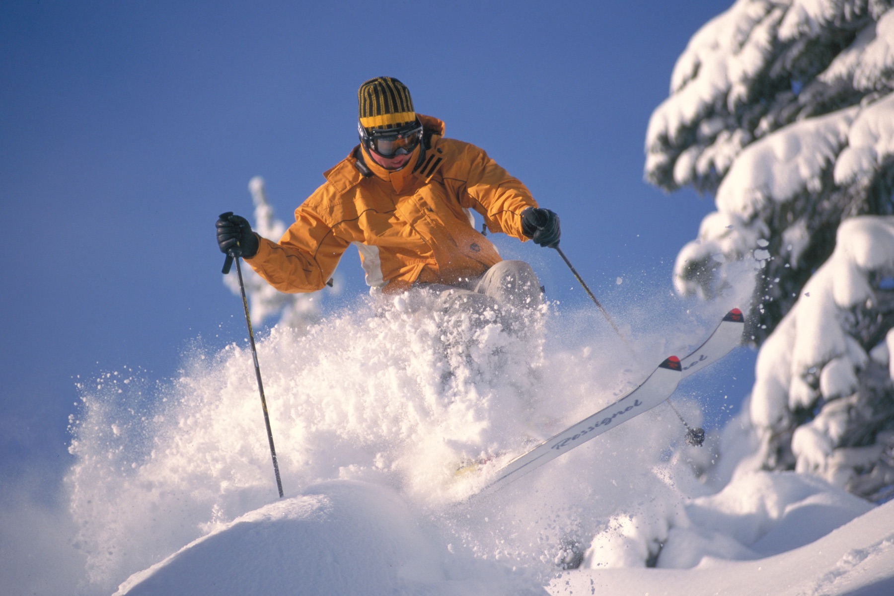Skier making a powder turn at Bear Valley Mountain Resort